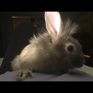 Meet your Posher, Chelsey